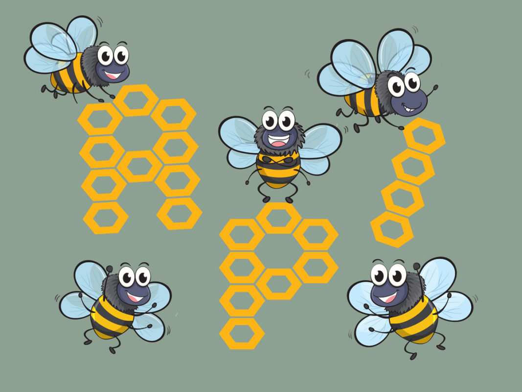 Parola di api! Il glossario di apicoltura di Pinvi