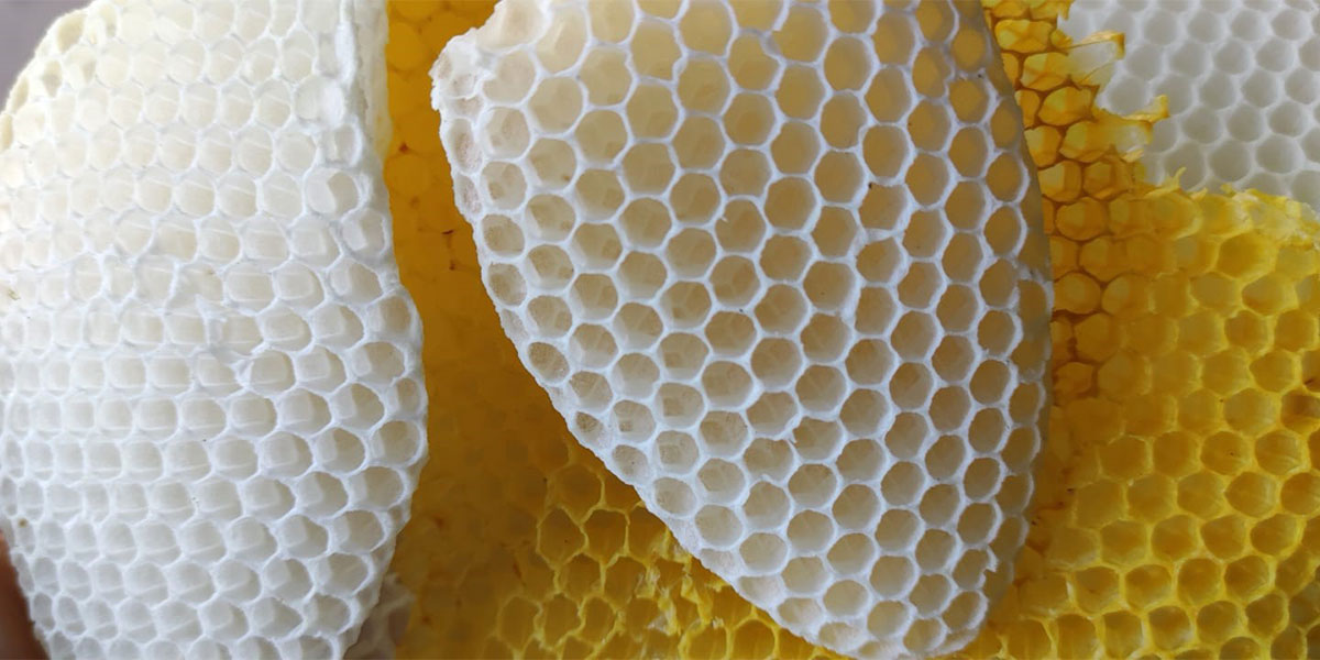 Cera d’api: come nasce, a cosa serve e per cosa si usa